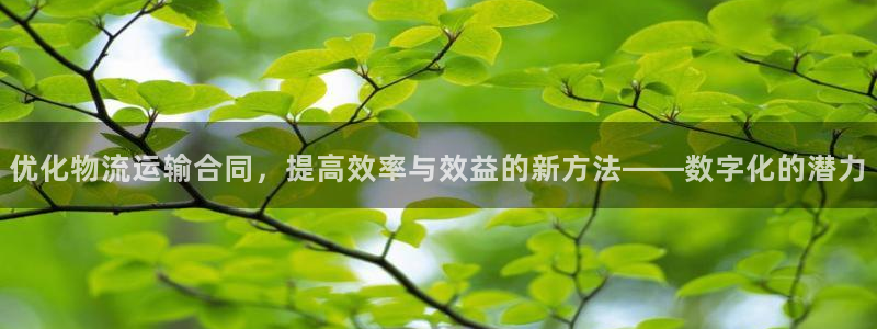 超凡国际初始资金密码在哪里改：优化物