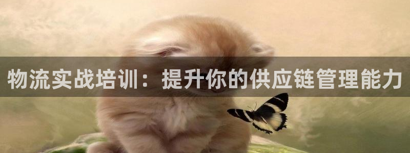 超凡国际官网下载多少钱