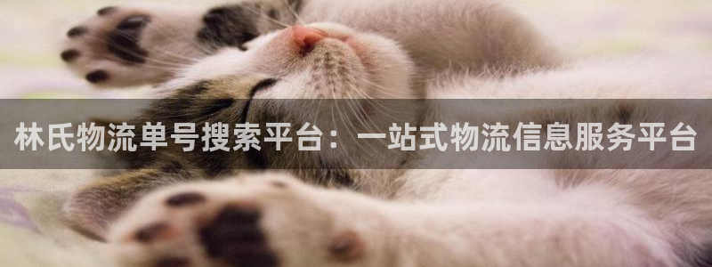 超凡国际游戏官网版：林氏物流单号搜索平台：一站式物流信息服务