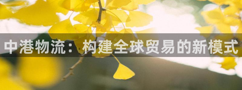 超凡国际注册网页：中港物流：构建全球