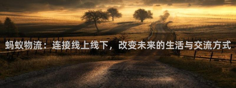 超凡国际官网入口官网：蚂蚁物流：连接