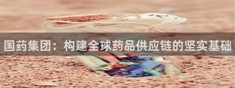 超凡国际加拿大走势：国药集团：构建全