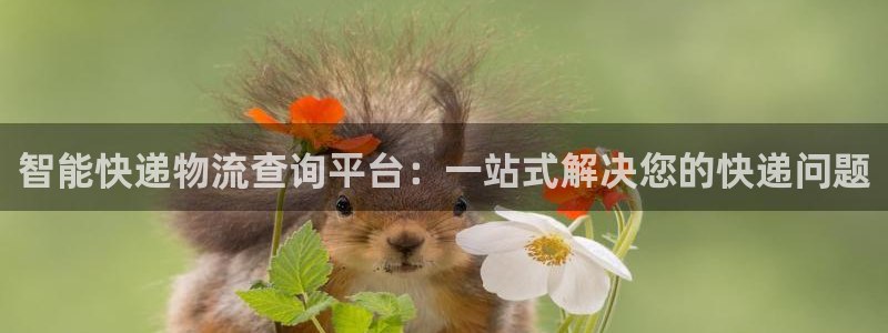 超凡国际起来的符号：智能快递物流查询
