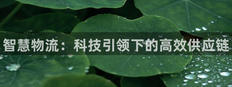 自行车超凡国际是什么意思：智慧物流：