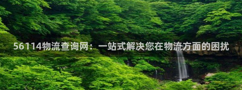加拿大超凡国际数字规则：56114物