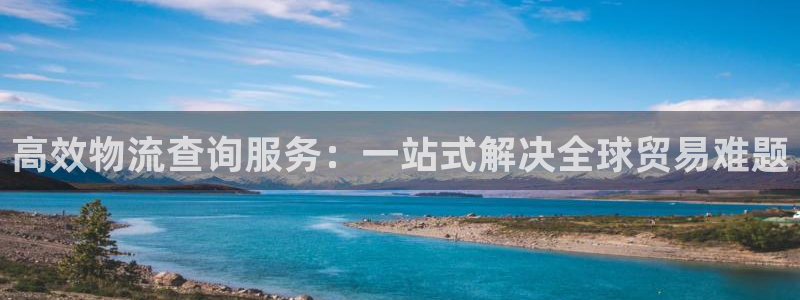 超凡国际口:高效物流查询服务:一站式