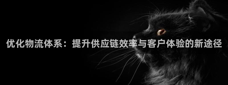 超凡国际注册送:优化物流体系:提升供