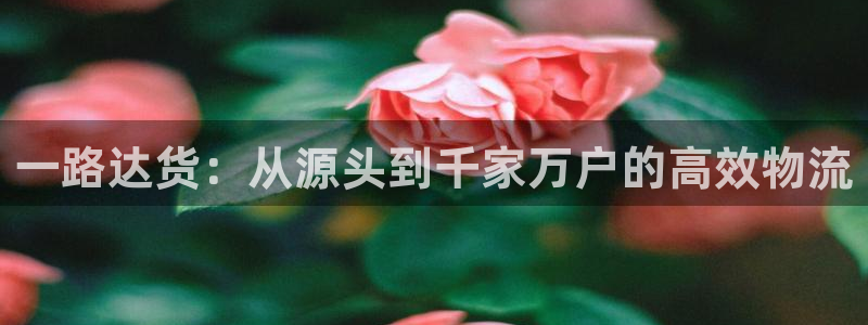 超凡国际能不能退