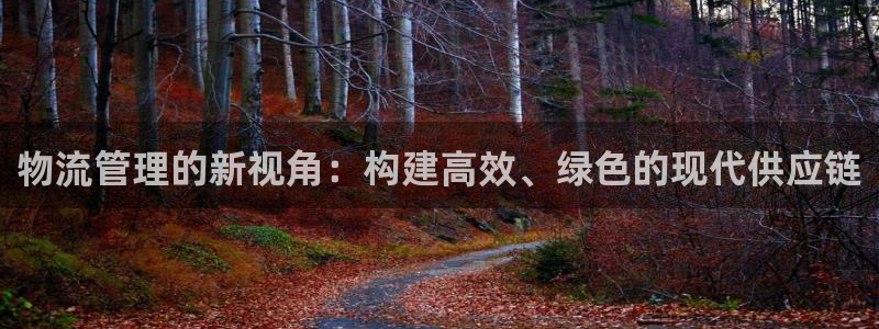 超凡国际合法吗:物流管理的新视角:构