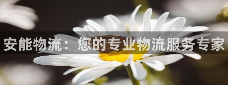 超凡国际分分28预测