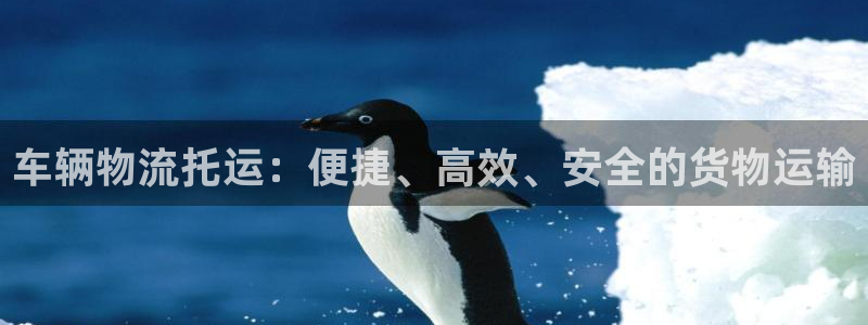 超凡国际娱乐官网网页入口:车辆物流托