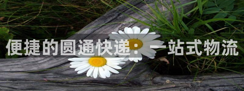 超凡国际官网入口2024