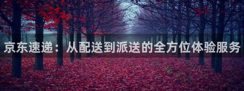 超凡国际哪个最赚钱:京东速递:从配送