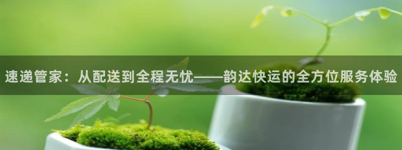 超凡国际官方网站预测：速递管家：从配