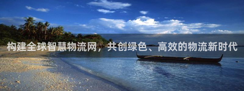 超凡国际防失联网址：构建全球智慧物流